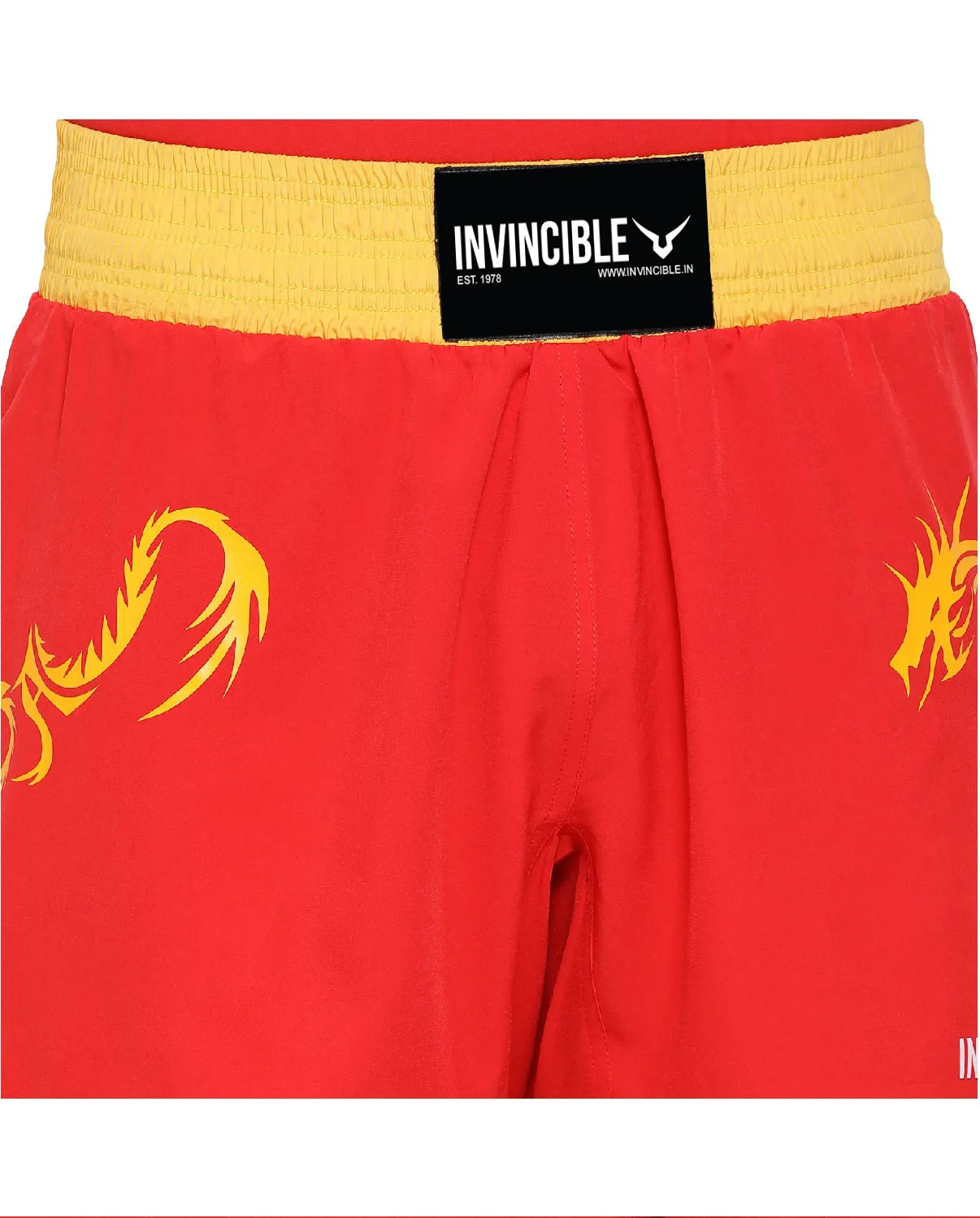Invincible Men’s Wushu Kit