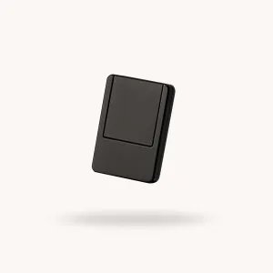 Perigee Buckle